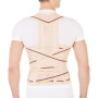 Корректор осанки для взрослых Т.50.29 (Т-1779) Trives